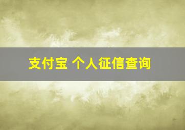 支付宝 个人征信查询